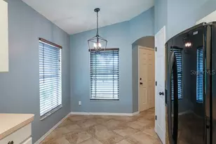 11236 Summer Star Dr, Riverview, FL 33579 - Photo 10