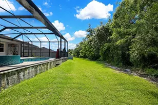 30801 Parrot Reef Ct, Wesley Chapel, FL 33545 - Photo 54