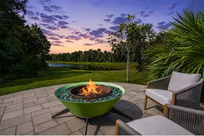 30801 Parrot Reef Court, Wesley Chapel, FL 33545 - Photo 2