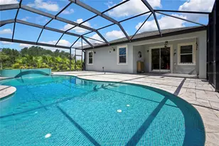 30801 Parrot Reef Ct, Wesley Chapel, FL 33545 - Photo 42