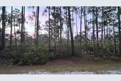 116 (Blk 62 Lot 8) Camellia Drive, Indian Lake Estates, FL 33855 - Photo 1