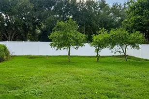 1633 St Catherine Dr E, Dunedin, FL 34698 - Photo 8