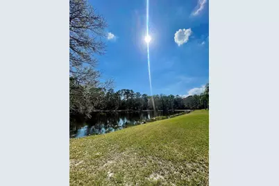 13261 Royal George Avenue, Odessa, FL 33556 - Photo 22