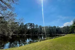 13261 Royal George Ave, Odessa, FL 33556 - Photo 22