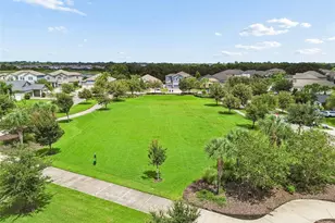 13310 Wildflower Meadow Dr, Riverview, FL 33579 - Photo 72