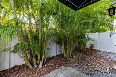 222 S Audubon Avenue, Tampa, FL 33609 - Photo 38