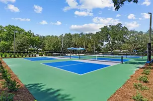3626 Justin Dr, Palm Harbor, FL 34685 - Photo 90