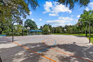 3626 Justin Dr, Palm Harbor, FL 34685 - Photo 92