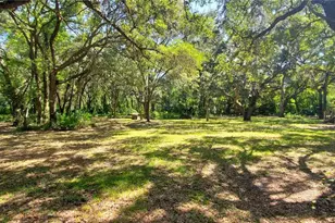 13016 Barney Dr, Hudson, FL 34669 - Photo 12