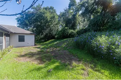 8834 Alafia Cove Drive, Riverview, FL 33569 - Photo 38