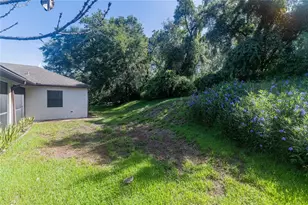 8834 Alafia Cove Dr, Riverview, FL 33569 - Photo 38