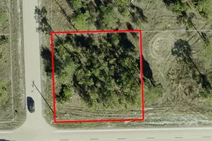2101 East 10th Street, Lehigh Acres, FL 33936 - Photo 1