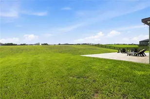 10007 Dolphin Gull Cir, Thonotosassa, FL 33592 - Photo 30