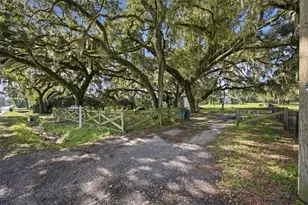 5701 Miley Rd, Plant City, FL 33565 - Photo 44