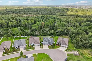 1605 Anastacia Ln, Sun City Center, FL 33573 - Photo 56