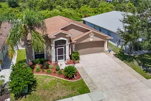 7441 Tower Bridge Dr, Wesley Chapel, FL 33545 - Photo 66