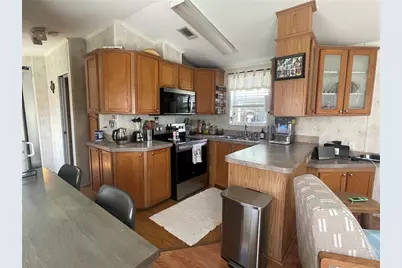 21127 San Pablo Drive, Land O Lakes, FL 34637 - Photo 4