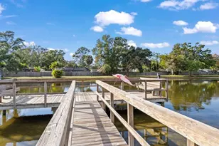 3810 Oak Dr, Tampa, FL 33611 - Photo 46