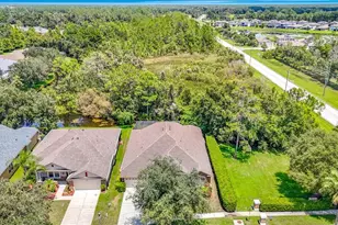 7220 Night Heron Dr, Land O Lakes, FL 34637 - Photo 4