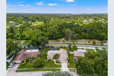 940 Rolling Hills Drive, Palm Harbor, FL 34683 - Photo 60