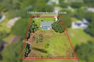 17269 Raintree Rd, Lutz, FL 33558 - Photo 48