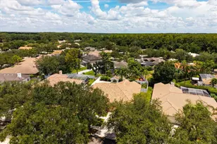 1723 Captiva Dr, Oldsmar, FL 34677 - Photo 6