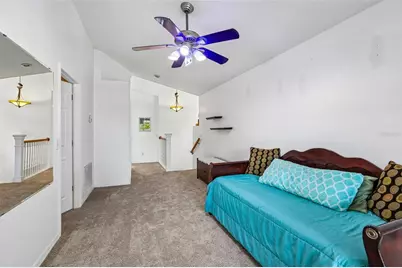 3131 N Canal Drive, Palm Harbor, FL 34684 - Photo 28