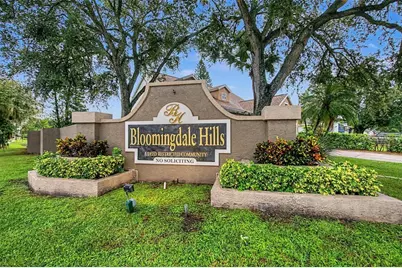 6222 Crickethollow Drive, Riverview, FL 33578 - Photo 4