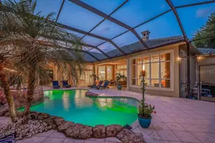 6217 Kingbird Manor Dr, Lithia, FL 33547 - Photo 90