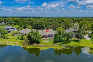 6217 Kingbird Manor Dr, Lithia, FL 33547 - Photo 74