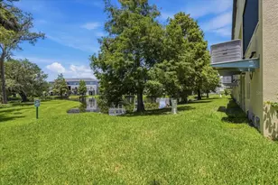 4429 Tuscan Loon Dr, Tampa, FL 33619 - Photo 44