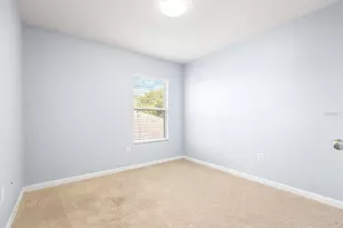 30419 Randall Manor St, Wesley Chapel, FL 33545 - Photo 18