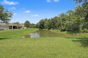 29079 Oxmoor Ct, San Antonio, FL 33576 - Photo 20