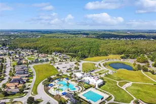 21868 Lyonia Ln, Land O Lakes, FL 34637 - Photo 78