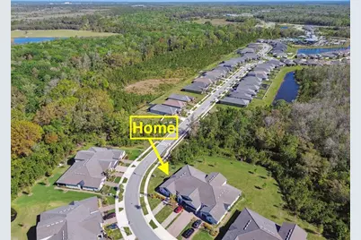 16710 Shell Bay Drive, Land O Lakes, FL 34638 - Photo 42