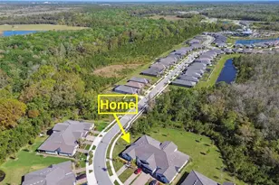 16710 Shell Bay Dr, Land O Lakes, FL 34638 - Photo 42