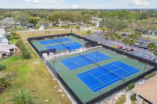 1591 Longford Dr, Palm Harbor, FL 34684 - Photo 78