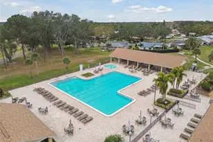 1591 Longford Dr, Palm Harbor, FL 34684 - Photo 76