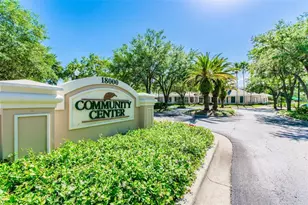10260 Shadow Branch Dr, Tampa, FL 33647 - Photo 44