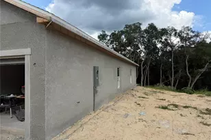 34281 Manuel St, Webster, FL 33597 - Photo 12