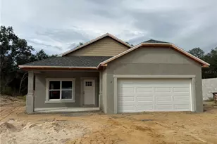 34281 Manuel St, Webster, FL 33597 - Photo 1