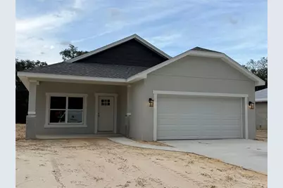 34281 Manuel Street, Ridge Manor Estates, FL 33597 - Photo 1