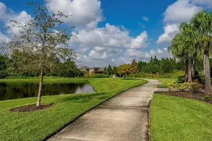 1623 Hubbell Rd, Wesley Chapel, FL 33543 - Photo 42