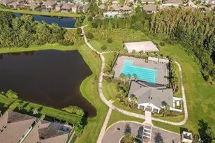 32867 Pez Landing Ln, Wesley Chapel, FL 33543 - Photo 36