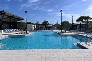 2345 Summerlit St, Lutz, FL 33558 - Photo 36
