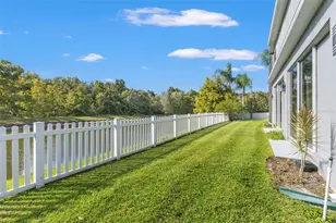 26932 Sea Breeze Way, Wesley Chapel, FL 33544 - Photo 66