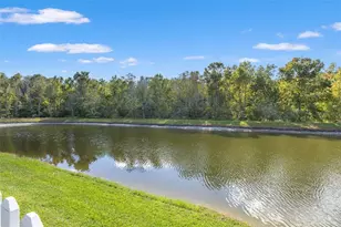 26932 Sea Breeze Way, Wesley Chapel, FL 33544 - Photo 70