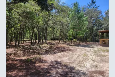 7597 N Brutus Avenue, Dunnellon, FL 34433 - Photo 74