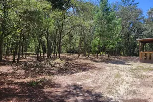 7597 N Brutus Ave, Dunnellon, FL 34433 - Photo 74