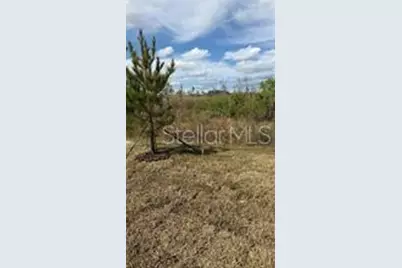 1629 Tropical Oasis Avenue, Plant City, FL 33565 - Photo 26